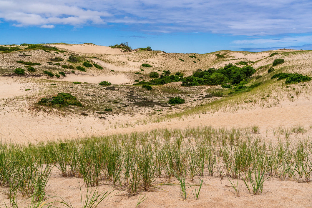 Feel the beauty of the dunes of Cape Cod! This image was created while hiking the other worldly Dune Shacks Trail in Provincetown. An original photograph from Picture Perfect Wall Décor, Yorktown Heights, NY, available as fine art print on archival quality paper and ready to hang metal print in various sizes.