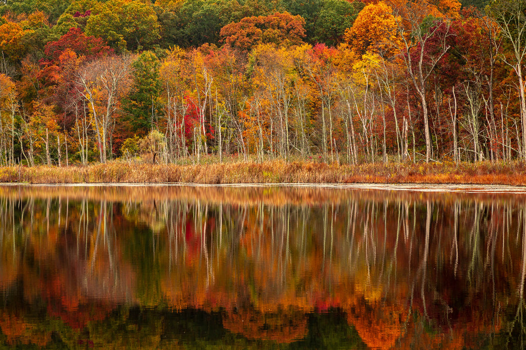 Fine art print of fall colors reflections on lake available as paper print and ready to hang metal print in various sizes. from Picture Perfect Wall Decor & Gifts, Yorktown Heights, New York