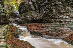 Fine art print of Gorge Trail in Watkins Glen State Park by Picture Perfect Wall Decor & Gifts in  Yorktown Heights, NY 10598 